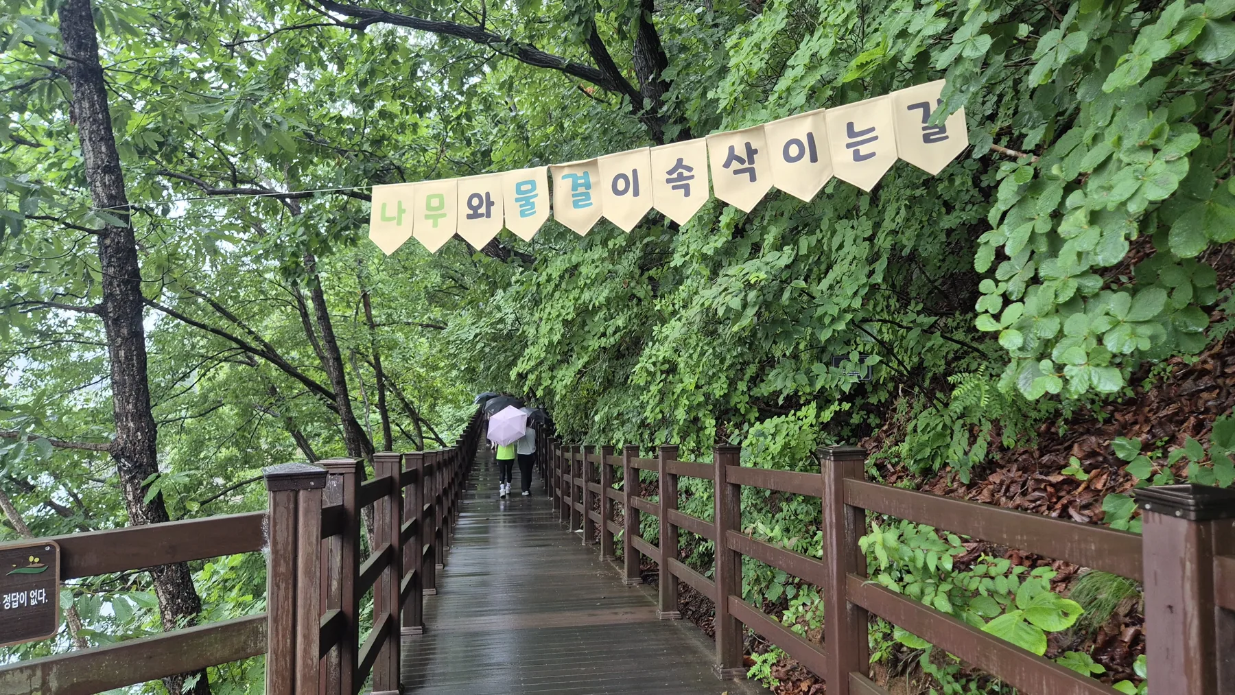 천장호 주변 숲길 데크 산책로