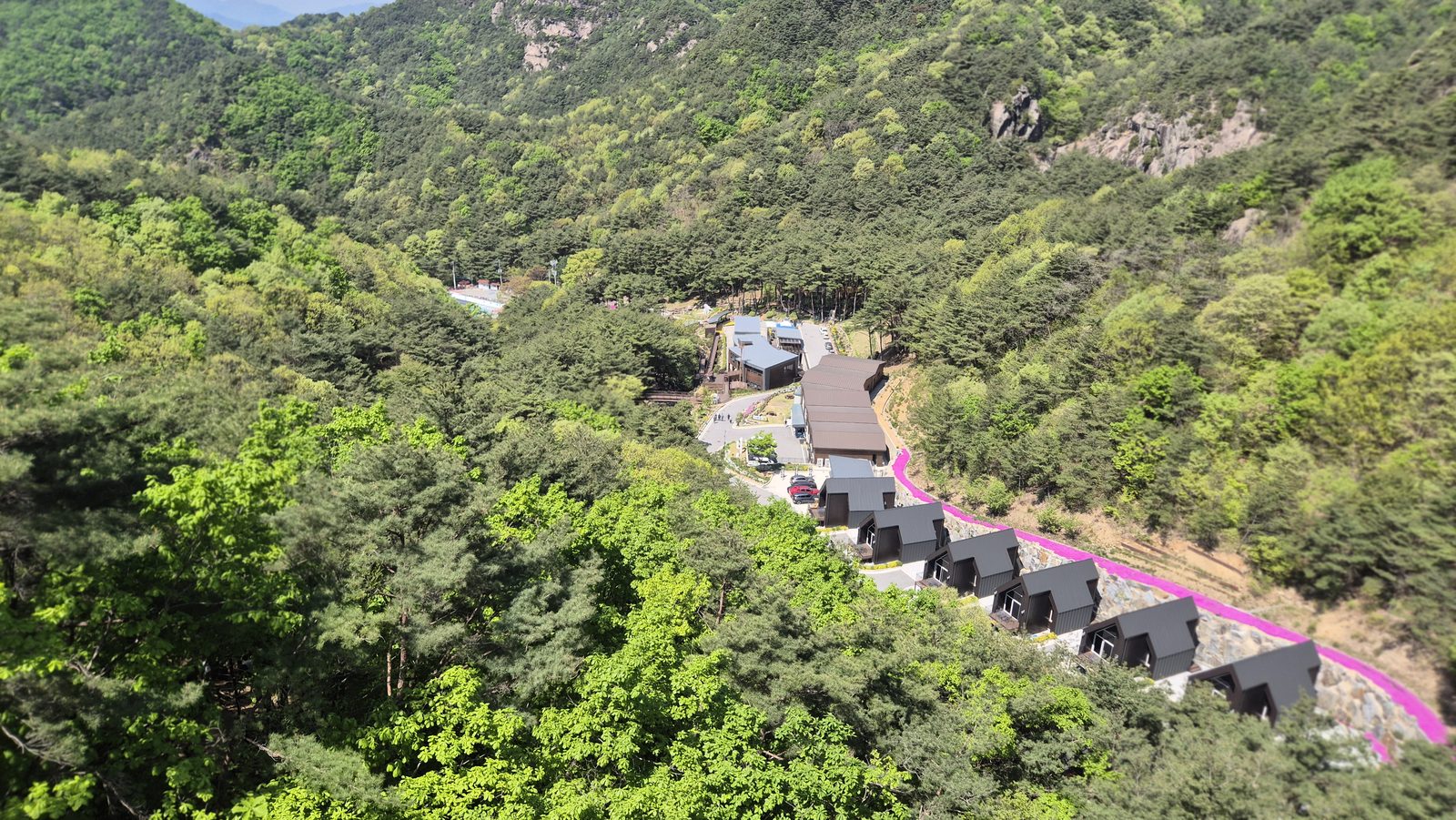 우두산 숲과 산림치유랜드 시설을 내려다본 전망