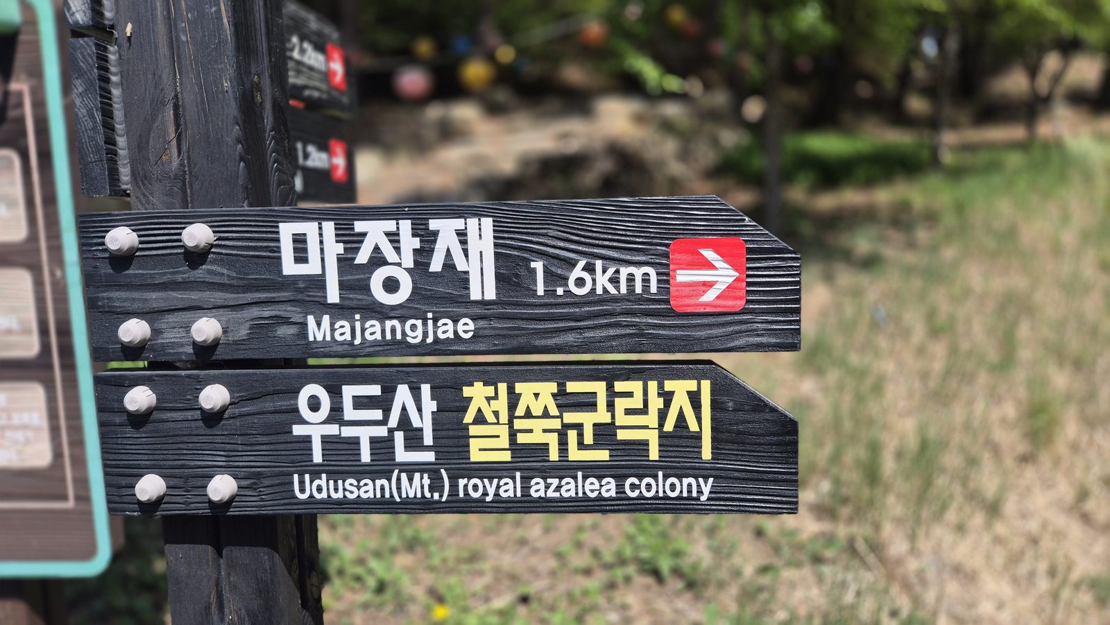마장재와 우두산 철쭉군락지 방향 표지판