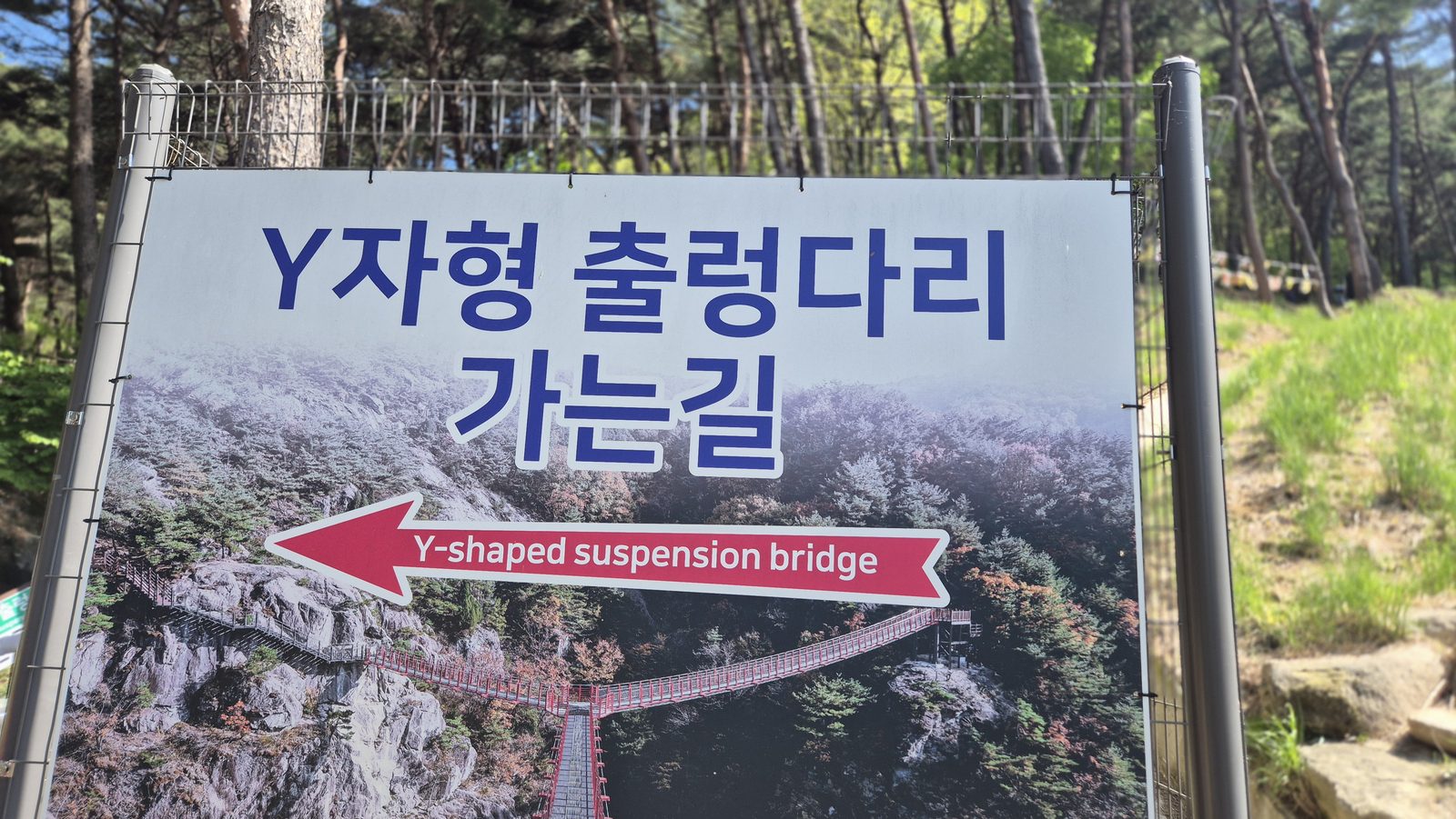Y자형 출렁다리 가는 길 안내판