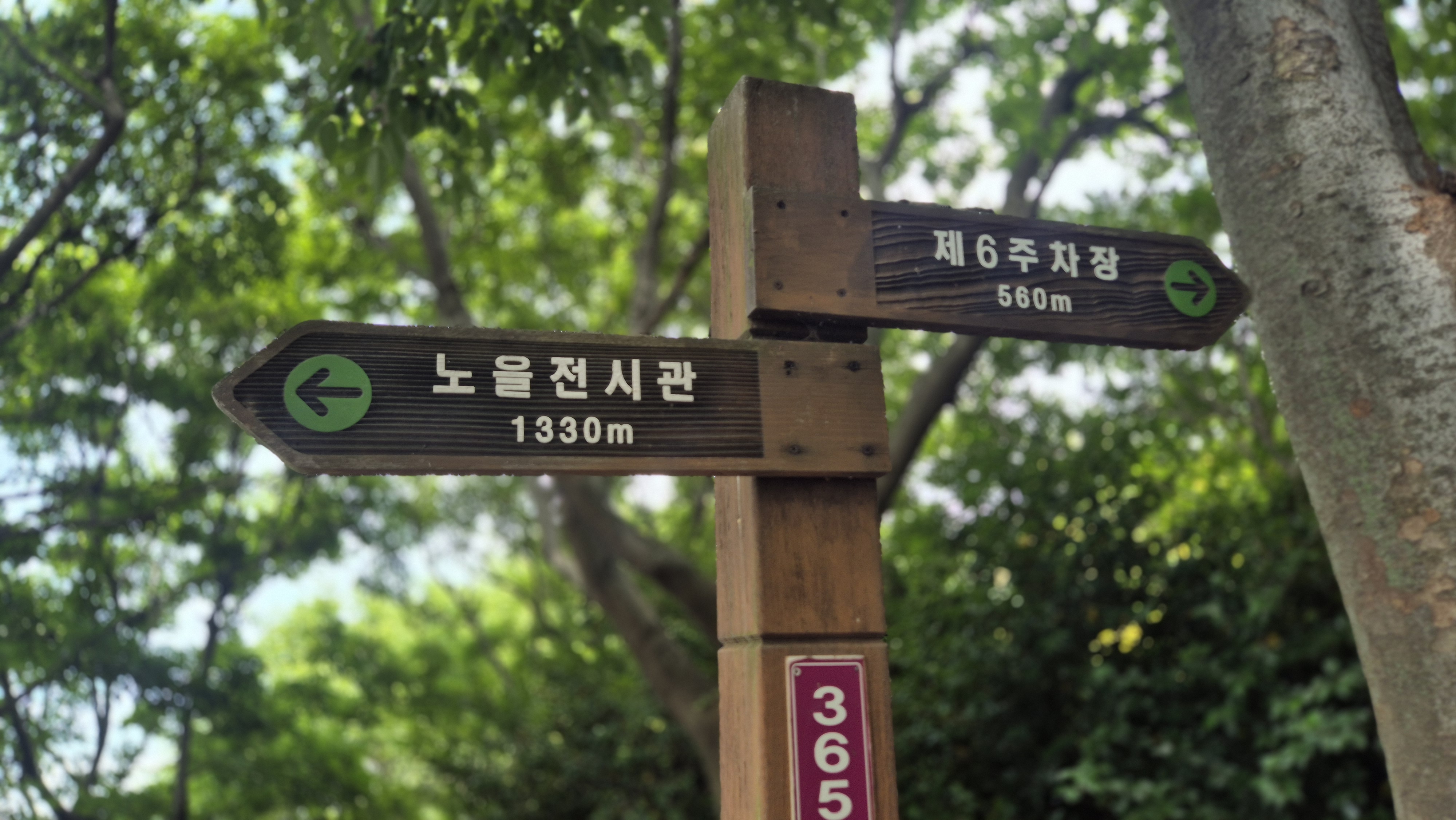 노을전시관과 제6주차장 거리를 알리는 백수해안도로 표지판