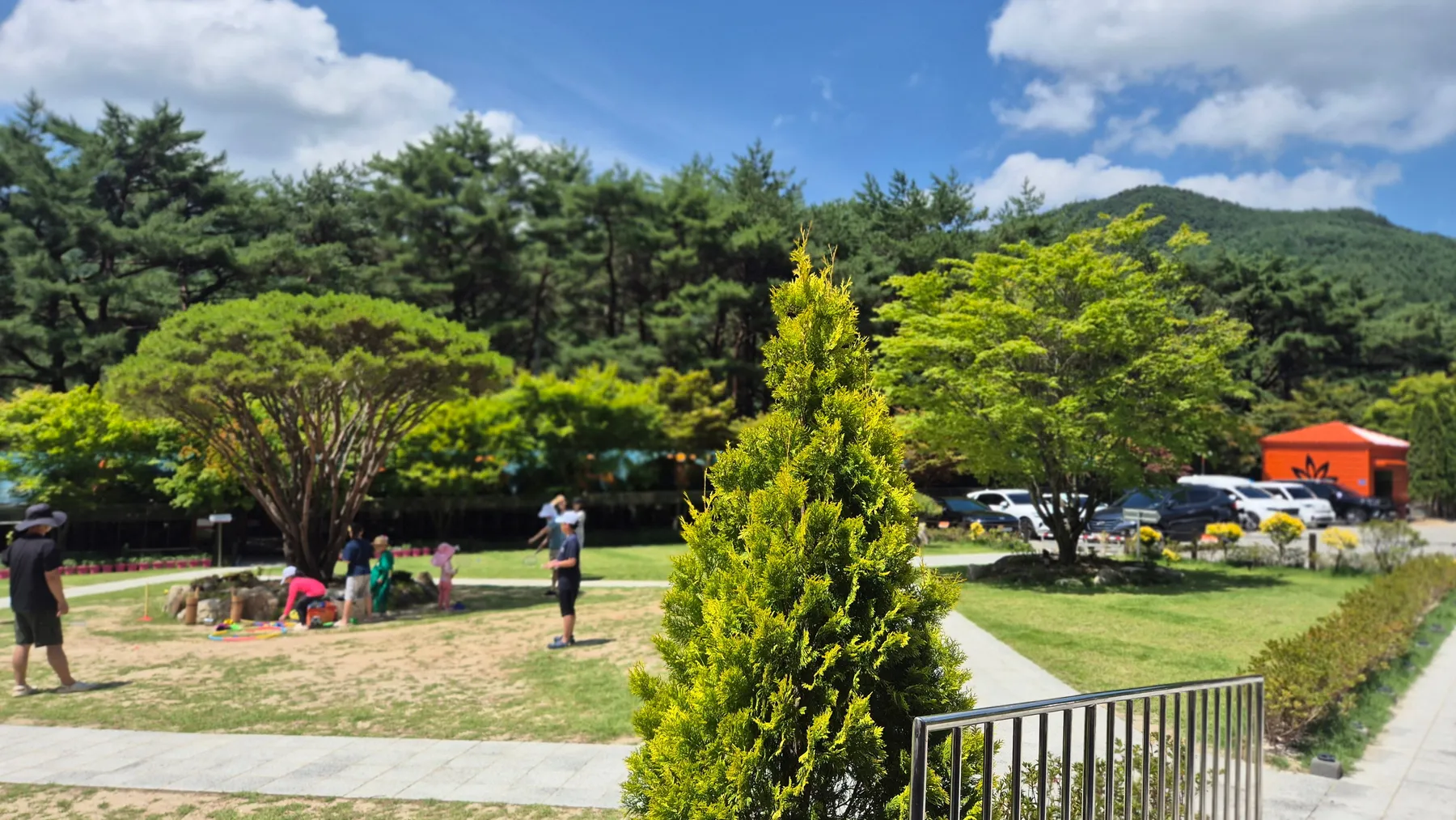 카페 날망 정원 잔디밭과 주변 풍경