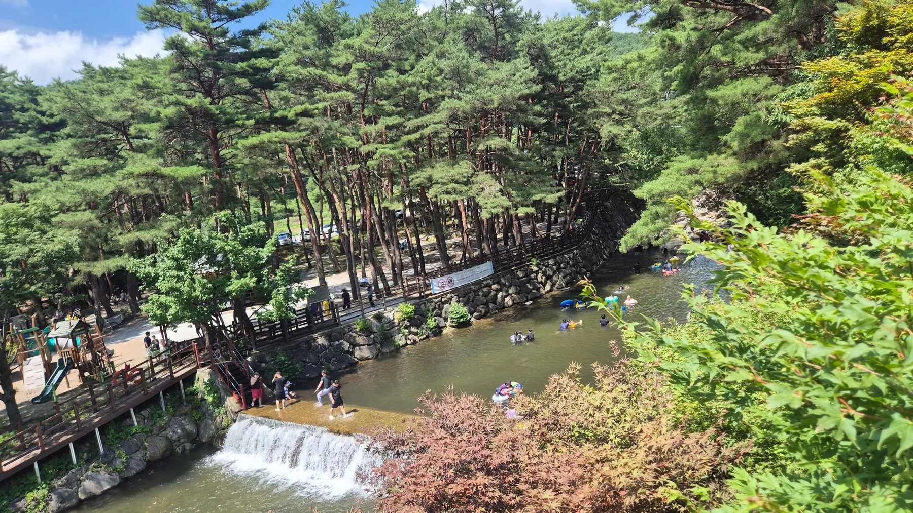 소나무 숲과 계곡에서 물놀이하는 사람들