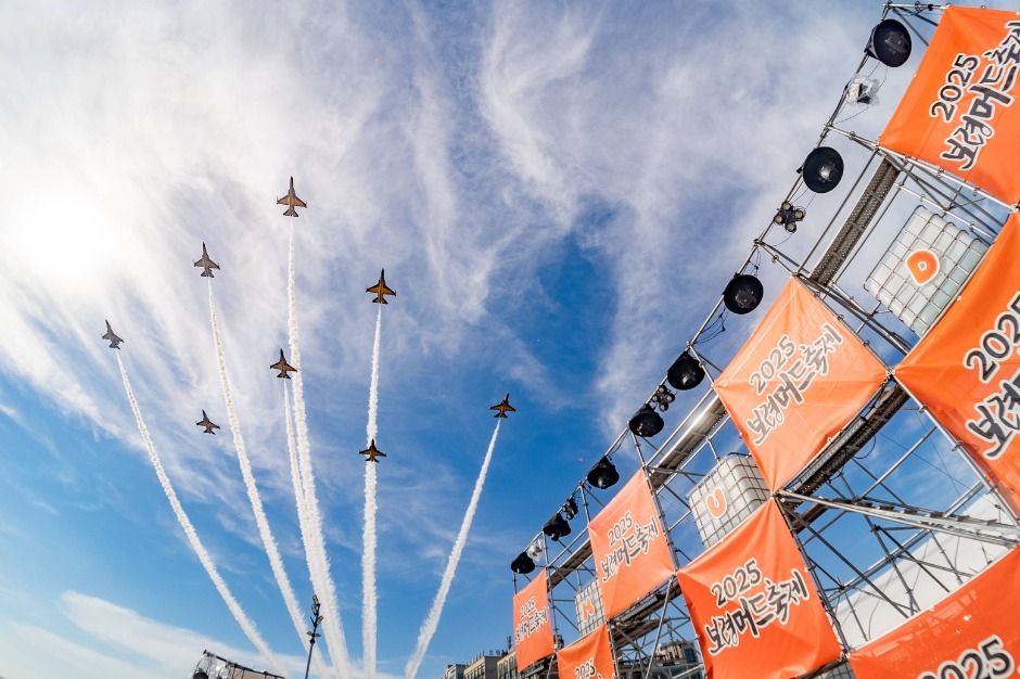 보령머드축제 관광 사진