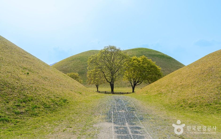 경주 대릉원 일원 관광 사진