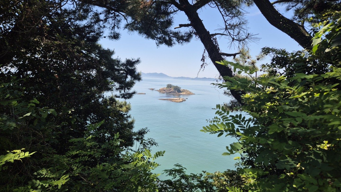 숲 사이로 보이는 여수 바다와 섬